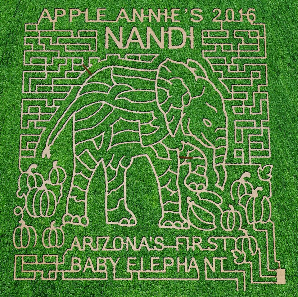 Road Trip: Apple Annie’s in Willcox, Arizona